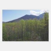 LeConte Creek in Great Smoky Mountains Inpakpapier Vel (Voorkant 2)