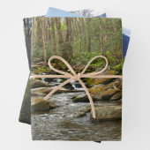 LeConte Creek in Great Smoky Mountains Inpakpapier Vel (In situ)