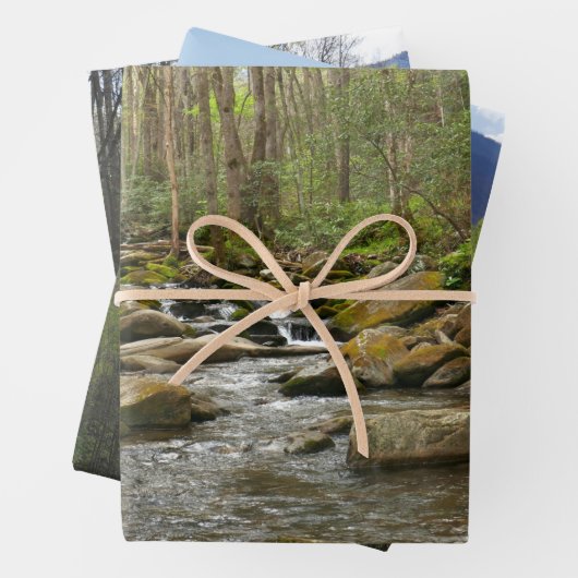 LeConte Creek in Great Smoky Mountains Inpakpapier Vel (In situ)