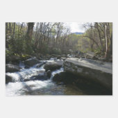 LeConte Creek in Great Smoky Mountains Inpakpapier Vel (Voorkant 3)