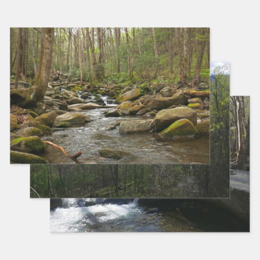 LeConte Creek in Great Smoky Mountains Inpakpapier Vel (Set)