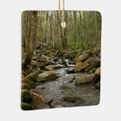 LeConte Creek in Great Smoky Mountains Keramisch Ornament (Rechts)