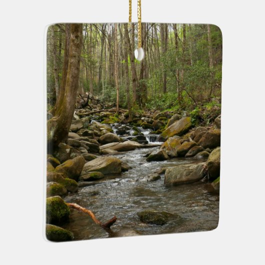 LeConte Creek in Great Smoky Mountains Keramisch Ornament (Rechts)