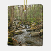 LeConte Creek in Great Smoky Mountains Keramisch Ornament (Links)