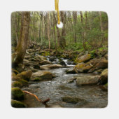 LeConte Creek in Great Smoky Mountains Keramisch Ornament (Voorkant)