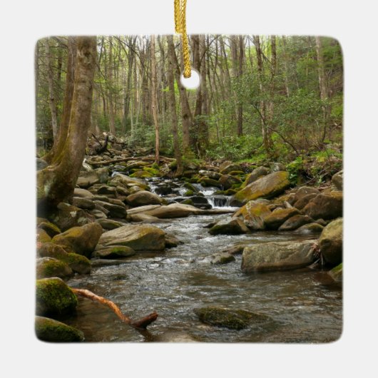 LeConte Creek in Great Smoky Mountains Keramisch Ornament (Voorkant)