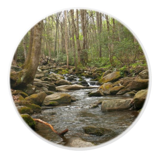 LeConte Creek in Great Smoky Mountains Keramische Knop (Voorkant)
