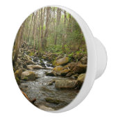 LeConte Creek in Great Smoky Mountains Keramische Knop (Rechts)