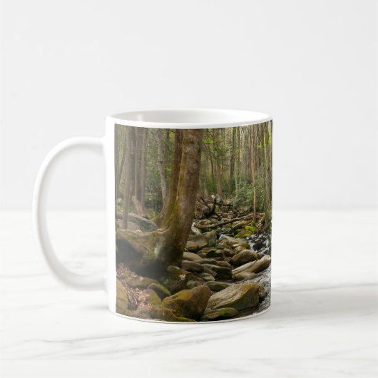 LeConte Creek in Great Smoky Mountains Koffiemok (Links)