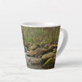 LeConte Creek in Great Smoky Mountains Latte Mok (Rechterhoek)