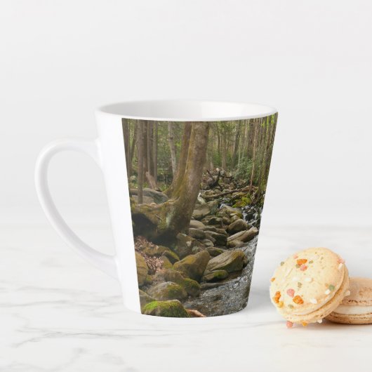 LeConte Creek in Great Smoky Mountains Latte Mok (In situ)