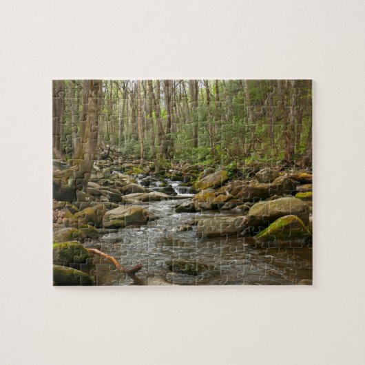 LeConte Creek in Great Smoky Mountains Legpuzzel (Horizontaal)