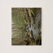 LeConte Creek in Great Smoky Mountains Legpuzzel (Verticaal)