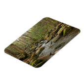 LeConte Creek in Great Smoky Mountains Magneet (Linkerzijde)