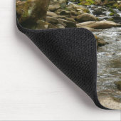 LeConte Creek in Great Smoky Mountains Muismat (Hoek)