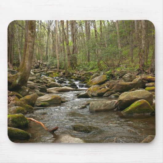 LeConte Creek in Great Smoky Mountains Muismat (Voorkant)