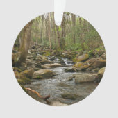 LeConte Creek in Great Smoky Mountains Ornament (voorkant)