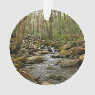 LeConte Creek in Great Smoky Mountains Ornament