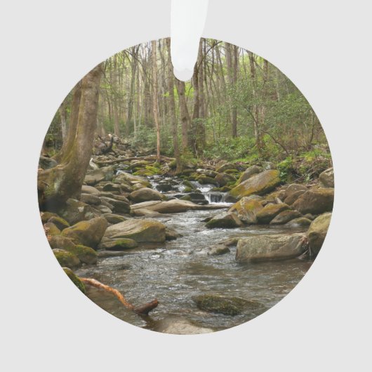 LeConte Creek in Great Smoky Mountains Ornament (voorkant)