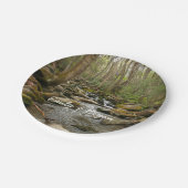 LeConte Creek in Great Smoky Mountains Papieren Bordje (Gekanteld)