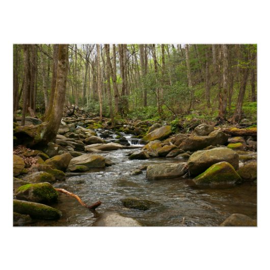 LeConte Creek in Great Smoky Mountains Perfect Poster (Voorkant)