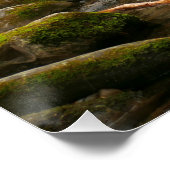 LeConte Creek in Great Smoky Mountains Perfect Poster (Hoek)