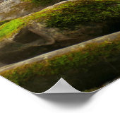 LeConte Creek in Great Smoky Mountains Poster (Hoek)