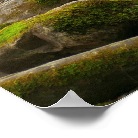 LeConte Creek in Great Smoky Mountains Poster (Hoek)