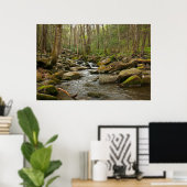 LeConte Creek in Great Smoky Mountains Poster (Thuiskantoor)