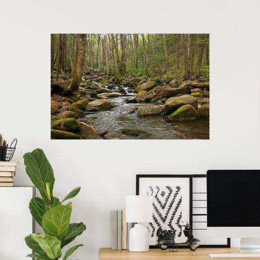 LeConte Creek in Great Smoky Mountains Poster (Thuiskantoor)