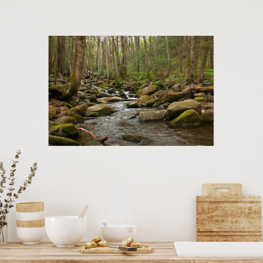 LeConte Creek in Great Smoky Mountains Poster (Keuken)