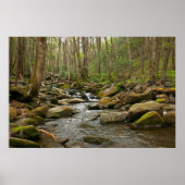 LeConte Creek in Great Smoky Mountains Poster (Voorkant)
