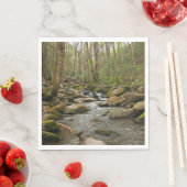 LeConte Creek in Great Smoky Mountains Servet (Insitu)