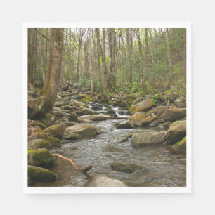 LeConte Creek in Great Smoky Mountains Servet