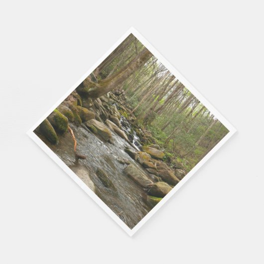 LeConte Creek in Great Smoky Mountains Servet (Hoek)