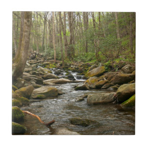 LeConte Creek in Great Smoky Mountains Tegeltje