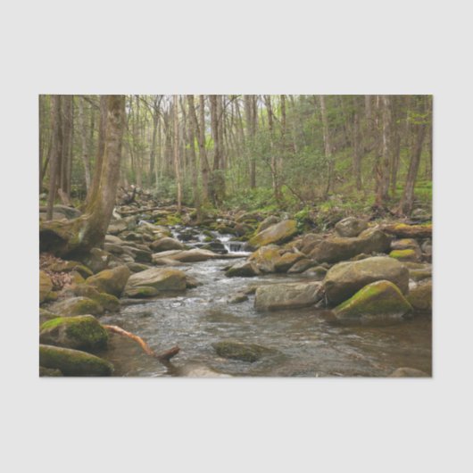 LeConte Creek in Great Smoky Mountains Tissuepapier (Voorkant)