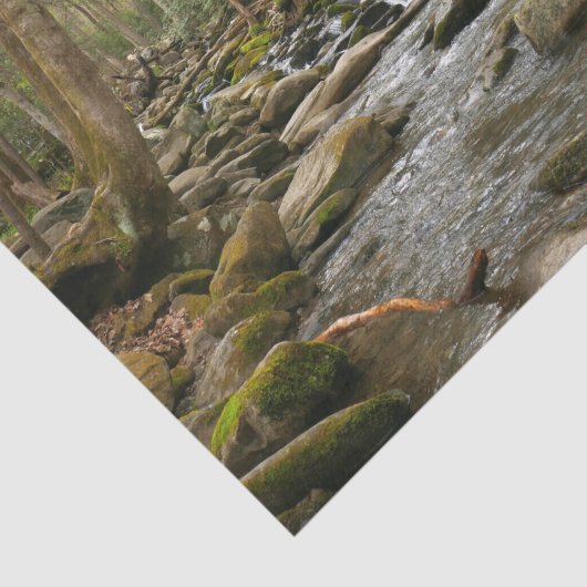 LeConte Creek in Great Smoky Mountains Tissuepapier (Detail)