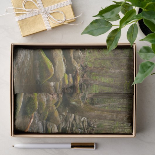 LeConte Creek in Great Smoky Mountains Tissuepapier (Geschenk)