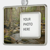 LeConte Creek in Great Smoky Mountains Verzilverd Omlijst Ornament (Links)