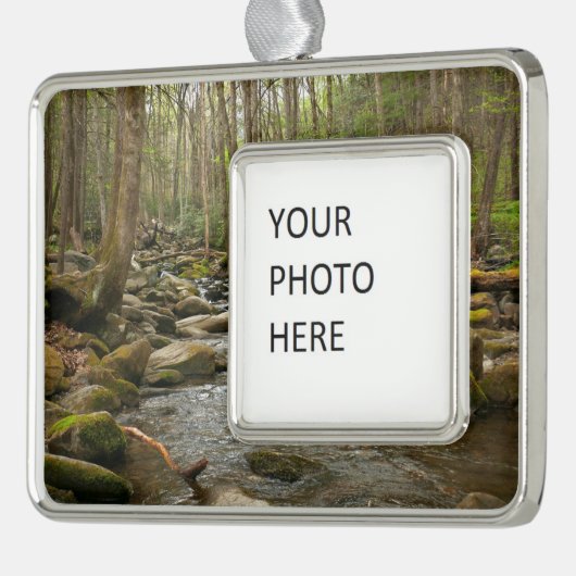 LeConte Creek in Great Smoky Mountains Verzilverd Omlijst Ornament (Links)