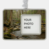 LeConte Creek in Great Smoky Mountains Verzilverd Omlijst Ornament (Voorkant)