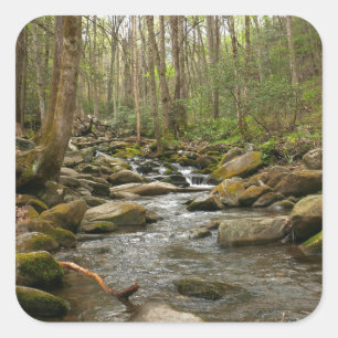LeConte Creek in Great Smoky Mountains Vierkante Sticker