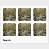 LeConte Creek in Great Smoky Mountains Vierkante Sticker (Vel)