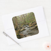 LeConte Creek in Great Smoky Mountains Vierkante Sticker (Envelop)