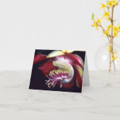 LECYTHIDACEAE: Couroupita guianensis Kaart (Gele Bloem)