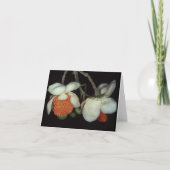 LECYTHIDACEAE: Lecythis houdt aan Kaart (Voorkant)