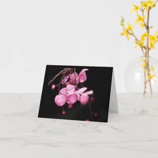 LECYTHIDACEAE: Tenuicarpa van Couratari Kaart (Gele Bloem)