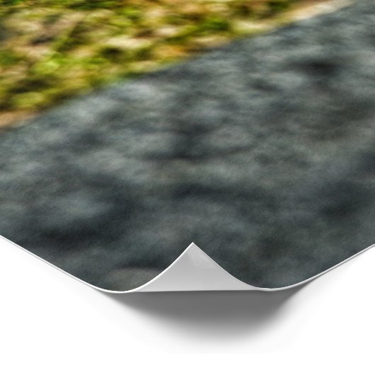 Led Sled Rat Poster (Hoek)