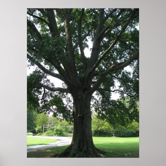 ledematen poster (Voorkant)